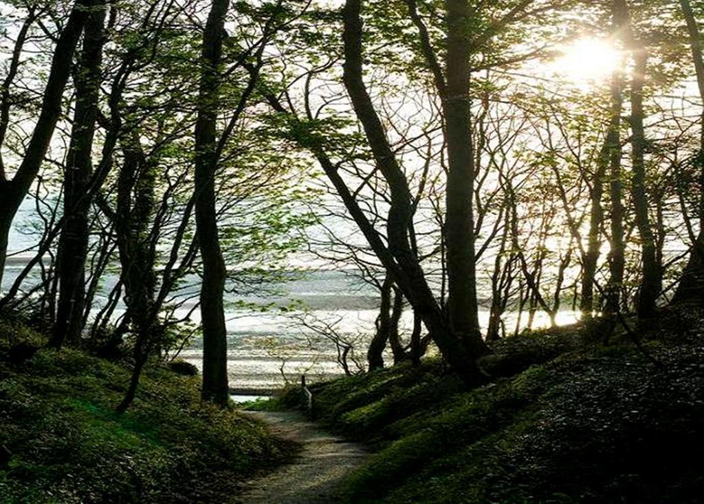 Priory Bay Hotel ซีวิว ภายนอก รูปภาพ